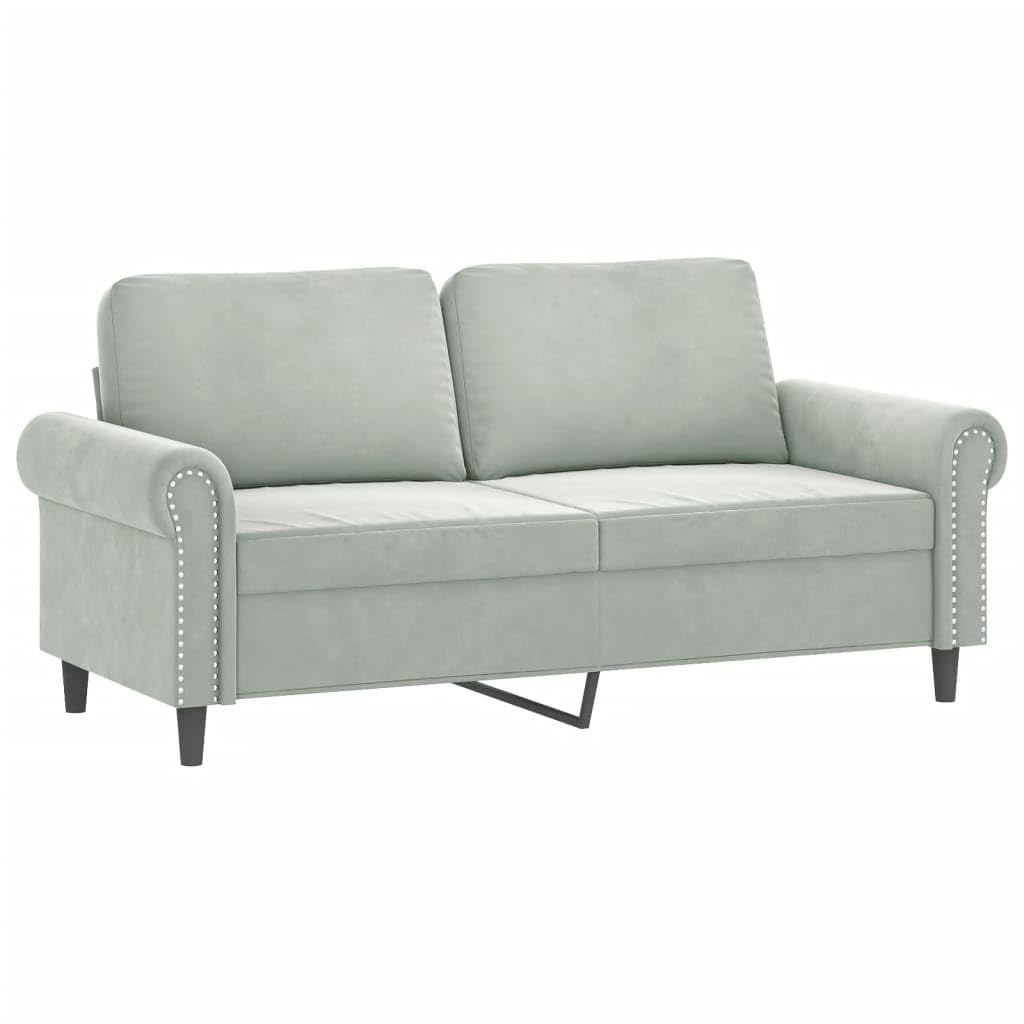 Light Gray Velvet 2 Piece Sofa Set with Throw Pillows D76939