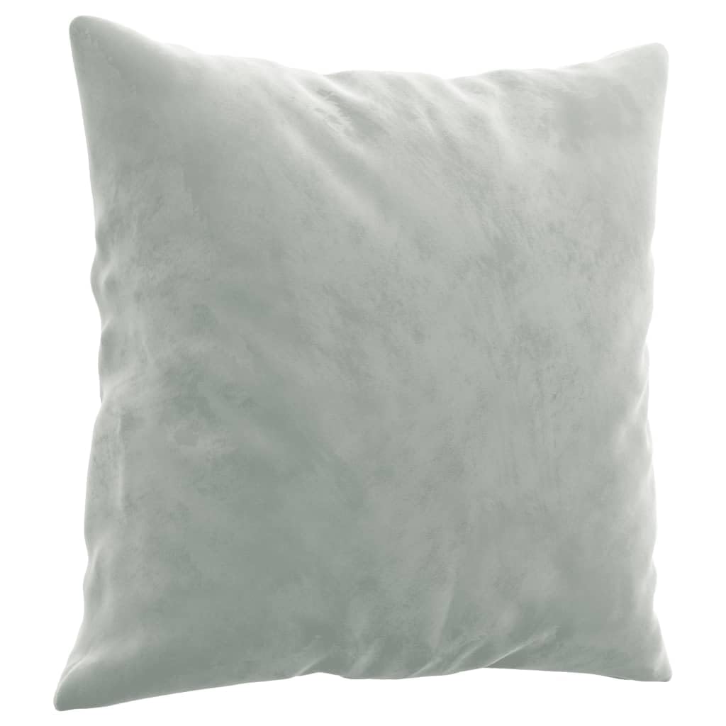 Light Gray Velvet 2 Piece Sofa Set with Throw Pillows D76939