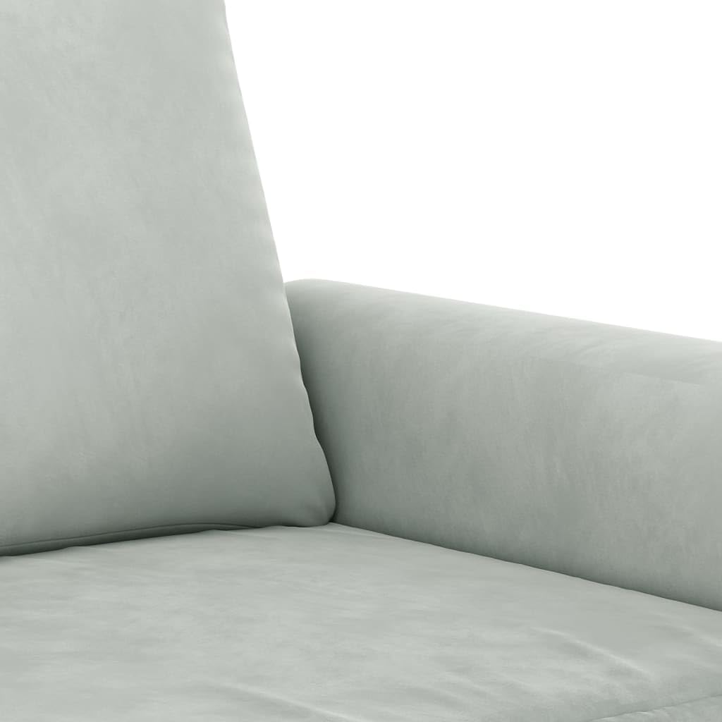 Light Gray Velvet 2 Piece Sofa Set with Throw Pillows D76939