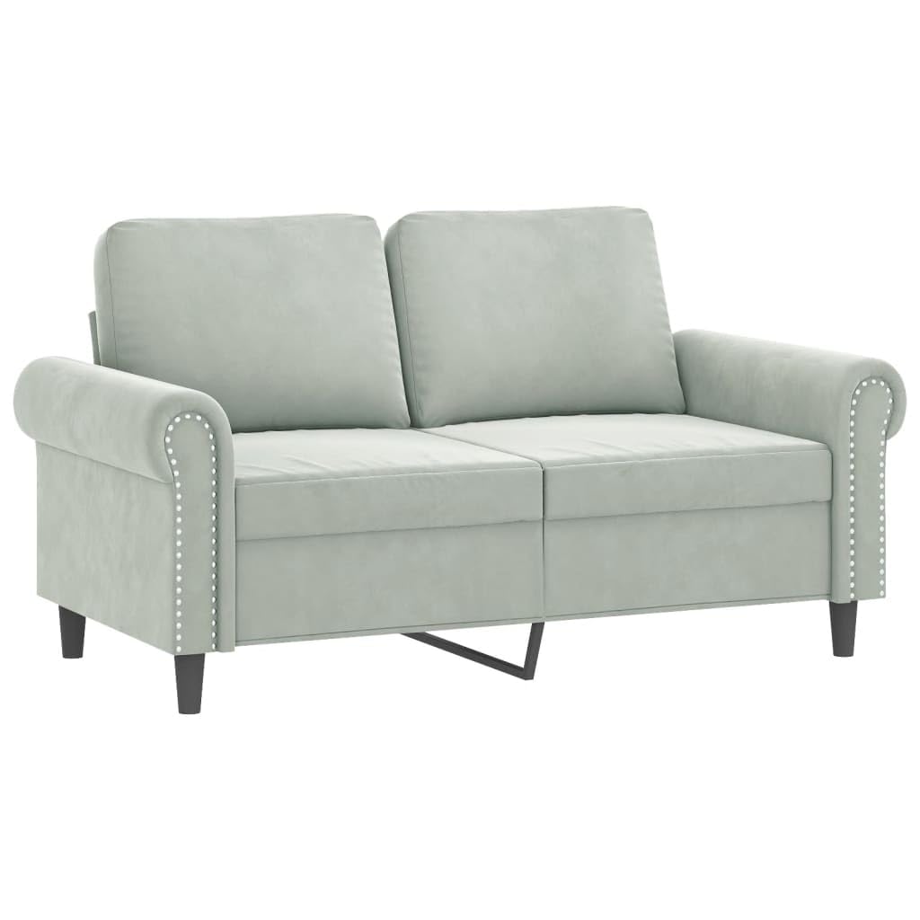 Light Gray Velvet 2 Piece Sofa Set with Throw Pillows D76939