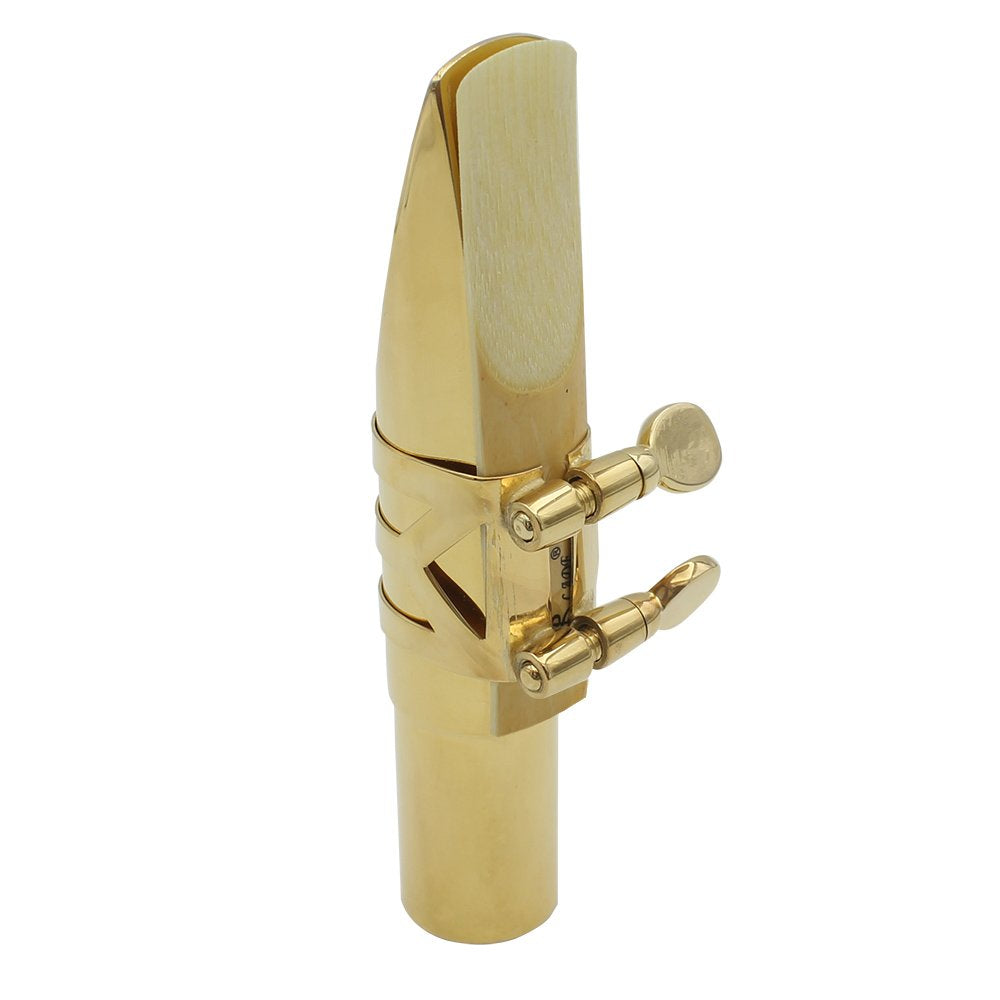 10 Pack Eb Alto Saxophone Reeds 2.5 Strength Bamboo Woodwind Reeds with Storage Case M95610