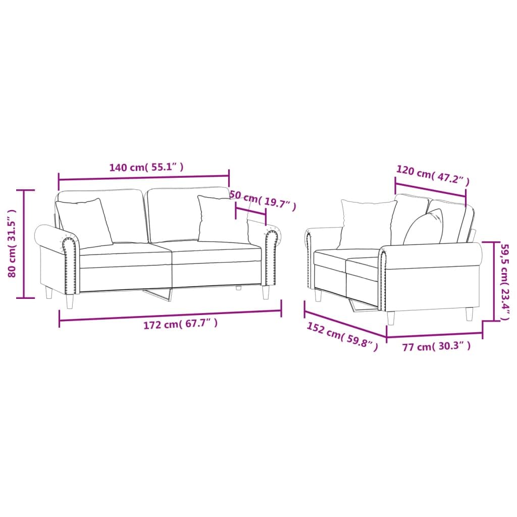 Light Gray Velvet 2 Piece Sofa Set with Throw Pillows D76939