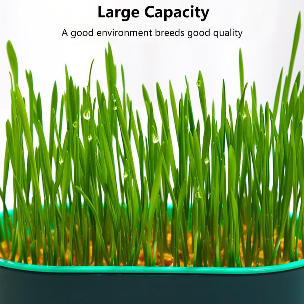 Cat Grass Planter, Hydroponic Trays, Soil-Free Planter (3PCS) J394