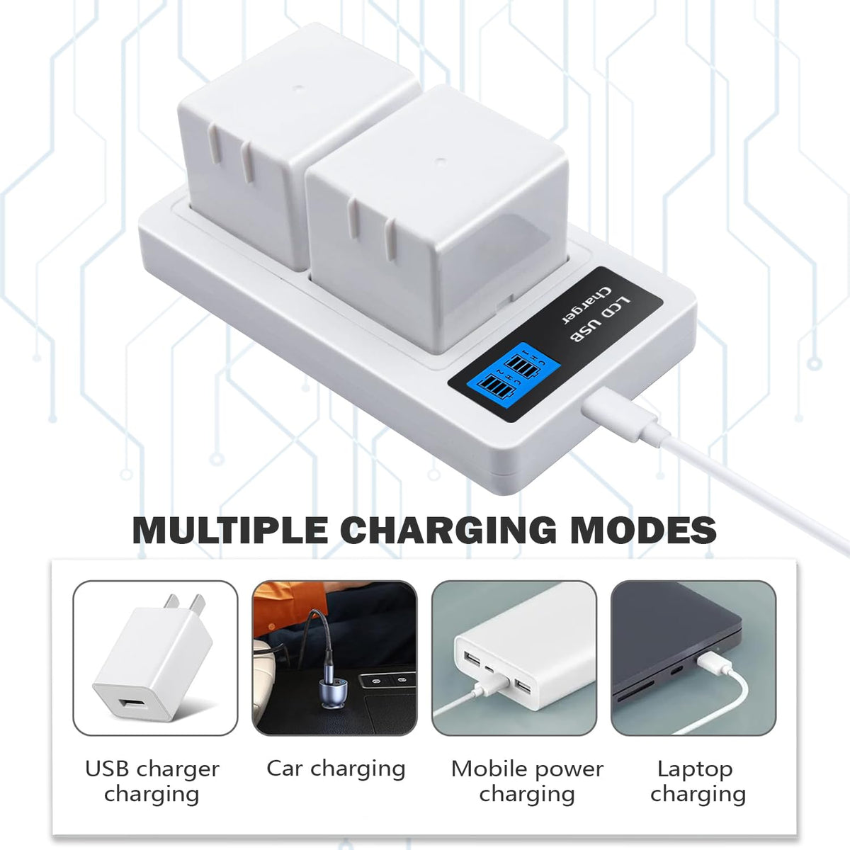2Pack Batteries and Charger U389