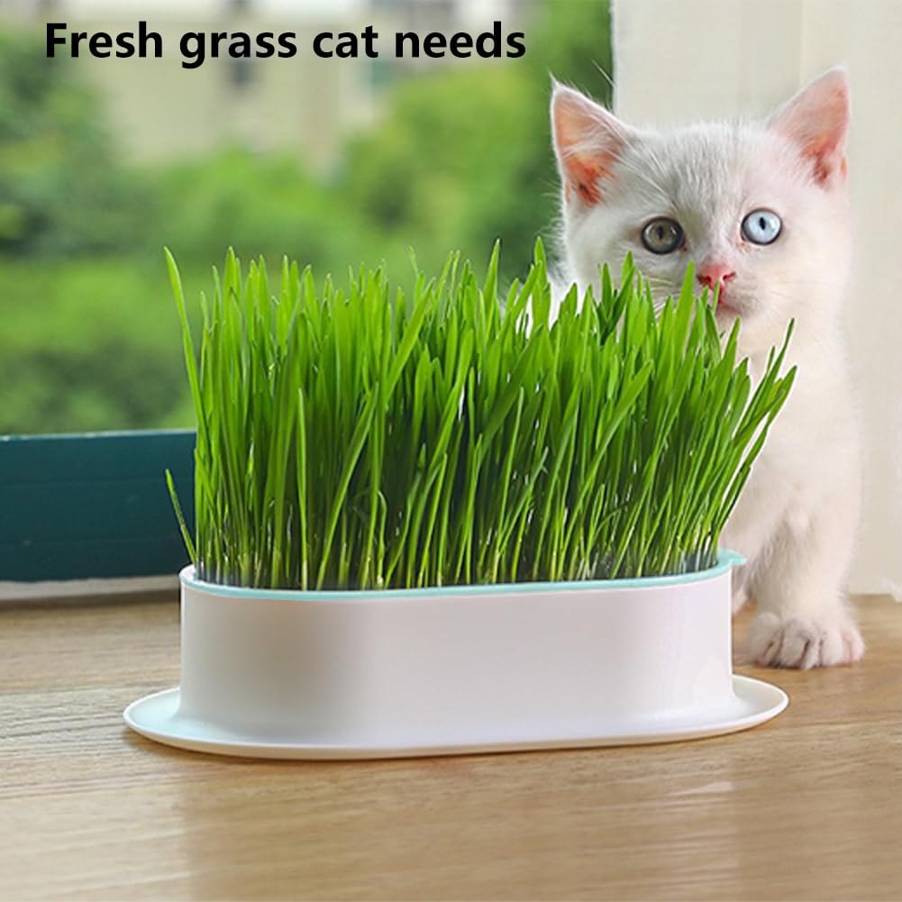 Cat Grass Planter, Hydroponic Trays, Soil-Free Planter (3PCS) J394