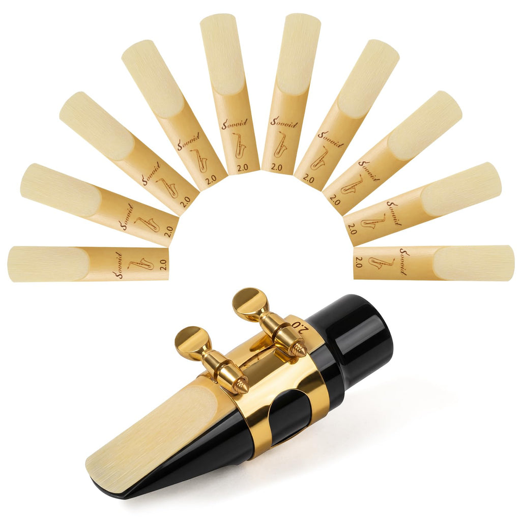 Alto Saxophone Reeds 10 Pack Strength 2.0 T636