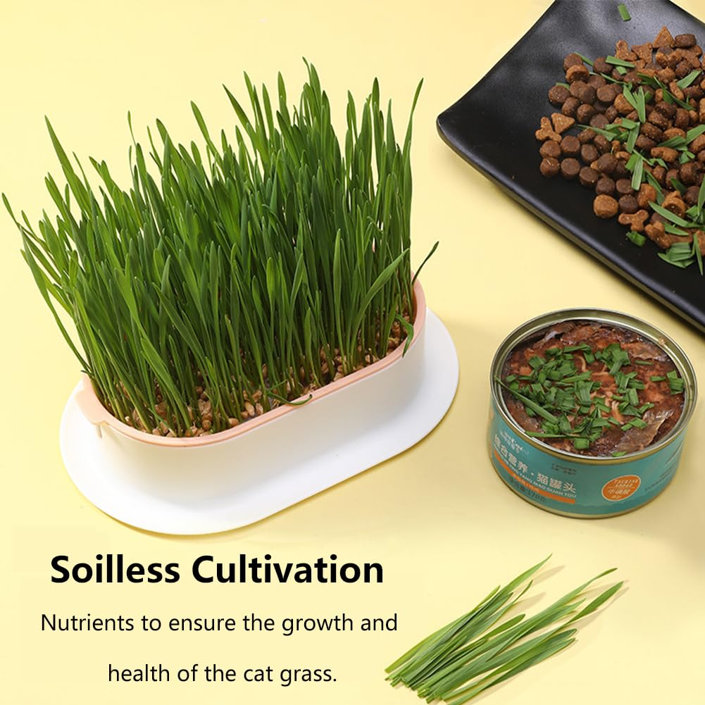 Cat Grass Planter, Hydroponic Trays, Soil-Free Planter (3PCS) J394
