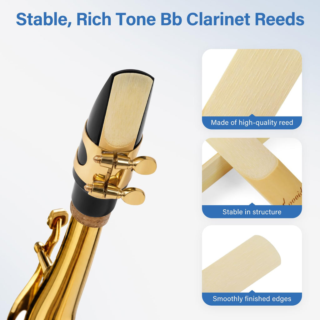 Alto Saxophone Reeds 10 Pack Strength 2.0 T636