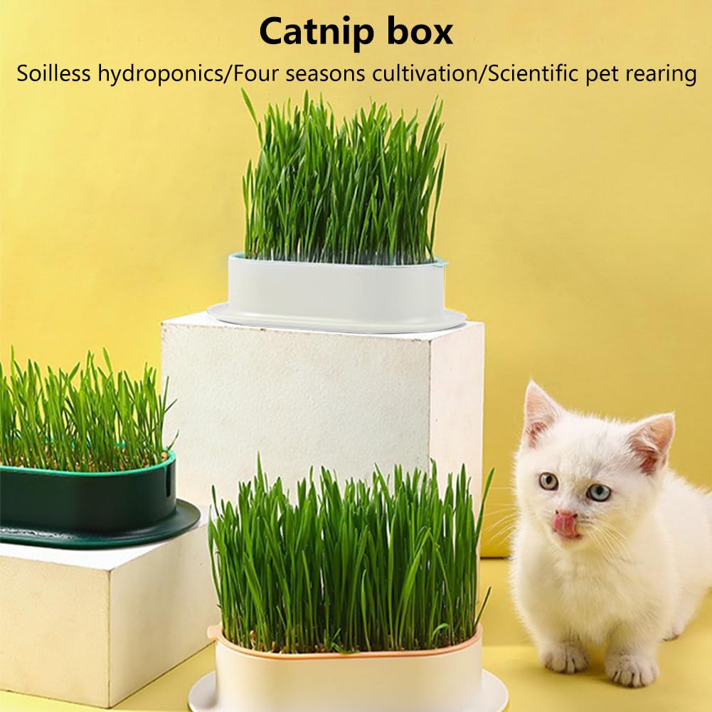 Cat Grass Planter, Hydroponic Trays, Soil-Free Planter (3PCS) J394