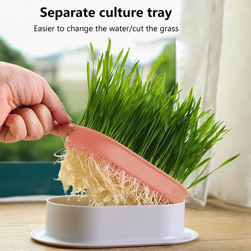 Cat Grass Planter, Hydroponic Trays, Soil-Free Planter (3PCS) J394