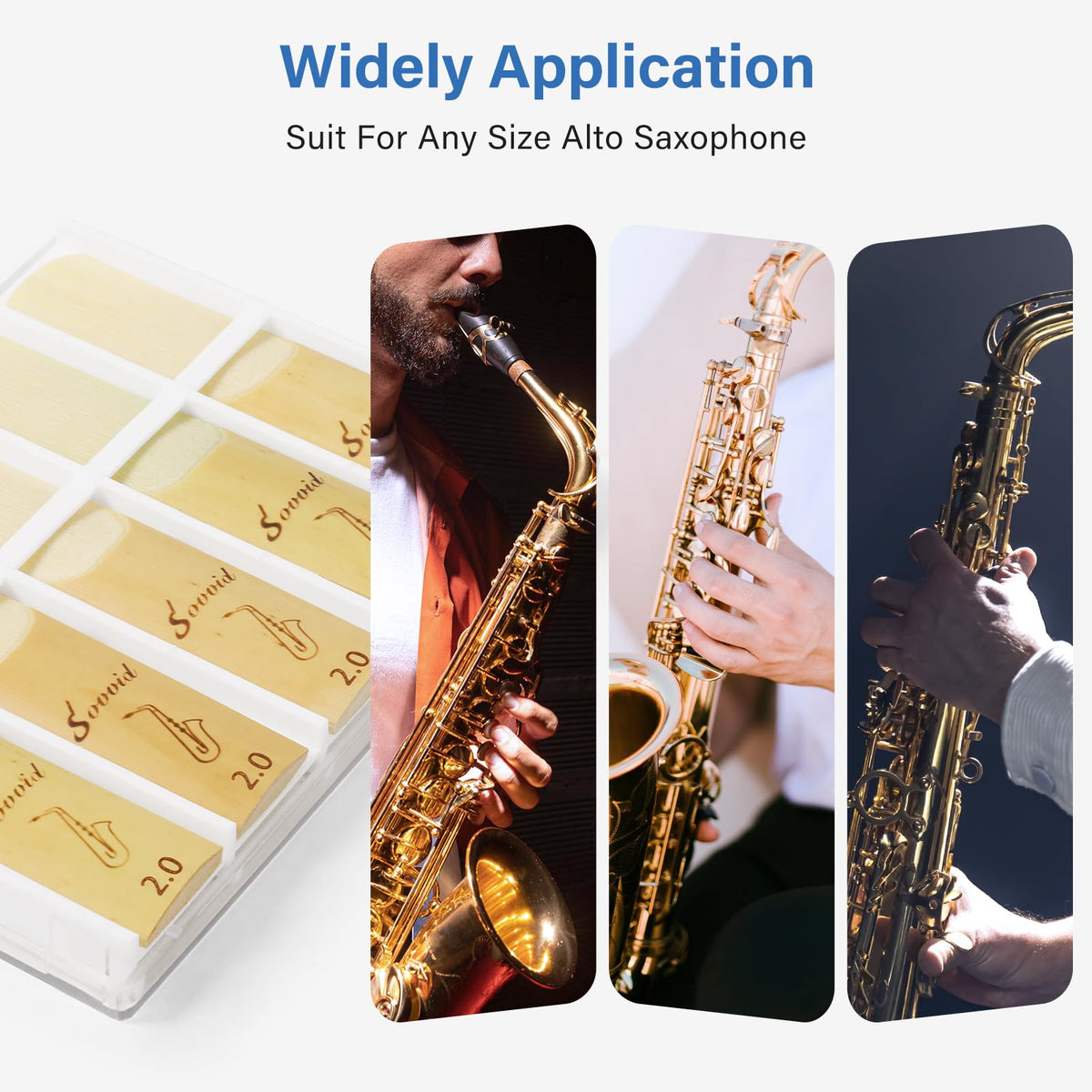 Alto Saxophone Reeds 10 Pack Strength 2.0 T636