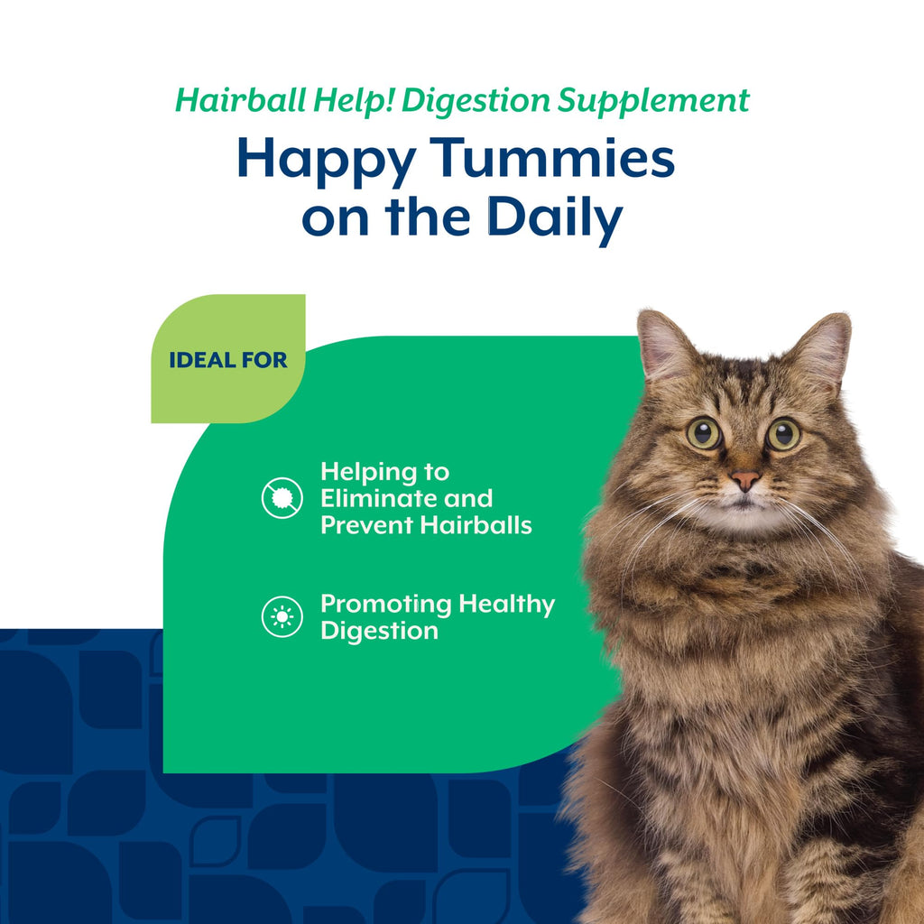 Hairball Aid Scoopable Supplement for Cats 5.5oz L54271