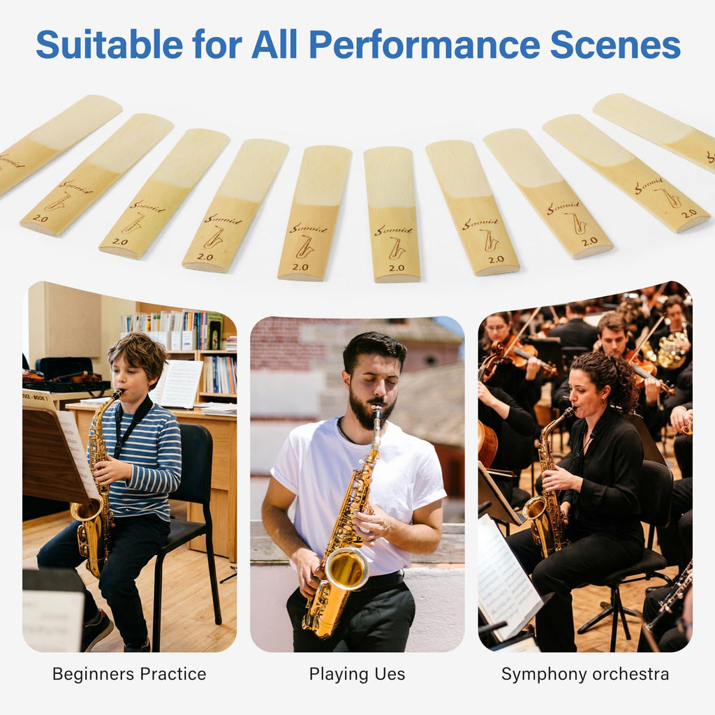 Alto Saxophone Reeds 10 Pack Strength 2.0 T636