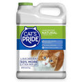 Lightweight Hypoallergenic Clumping Litter 10lb R78061