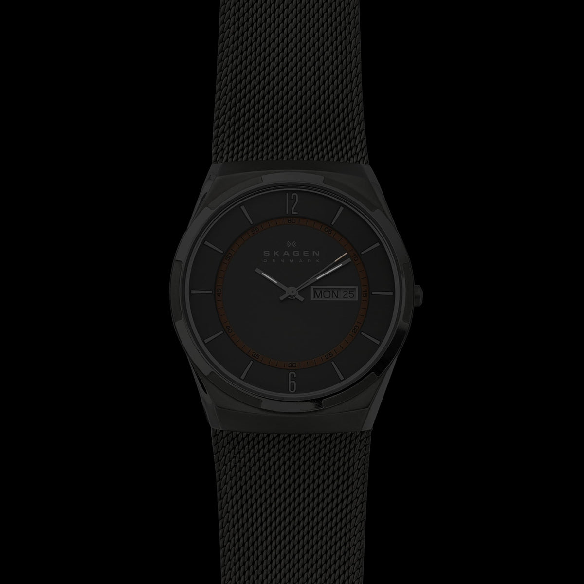 Stainless Steel Watch A314216