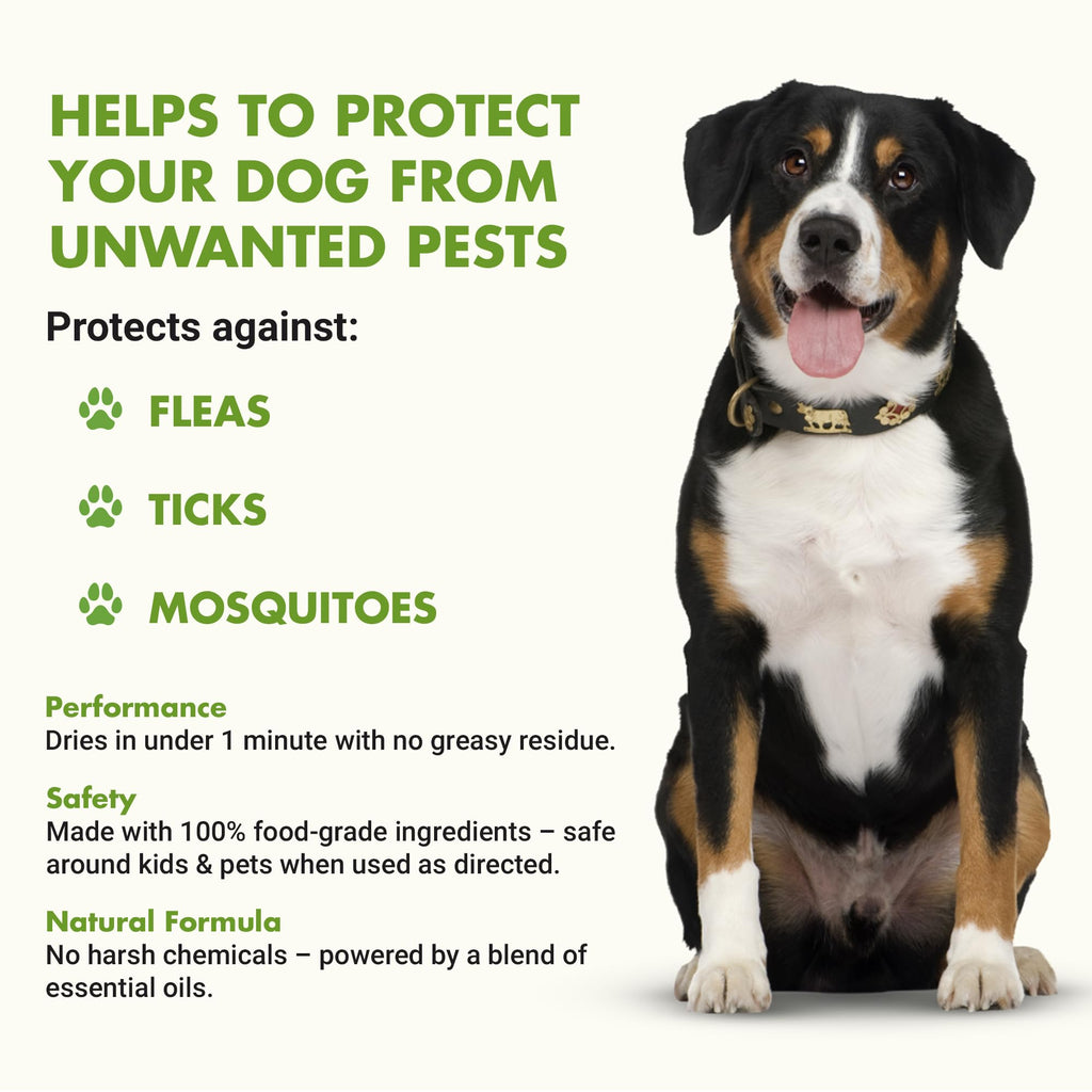Flea and Tick Topical Treatment 8 oz H93760