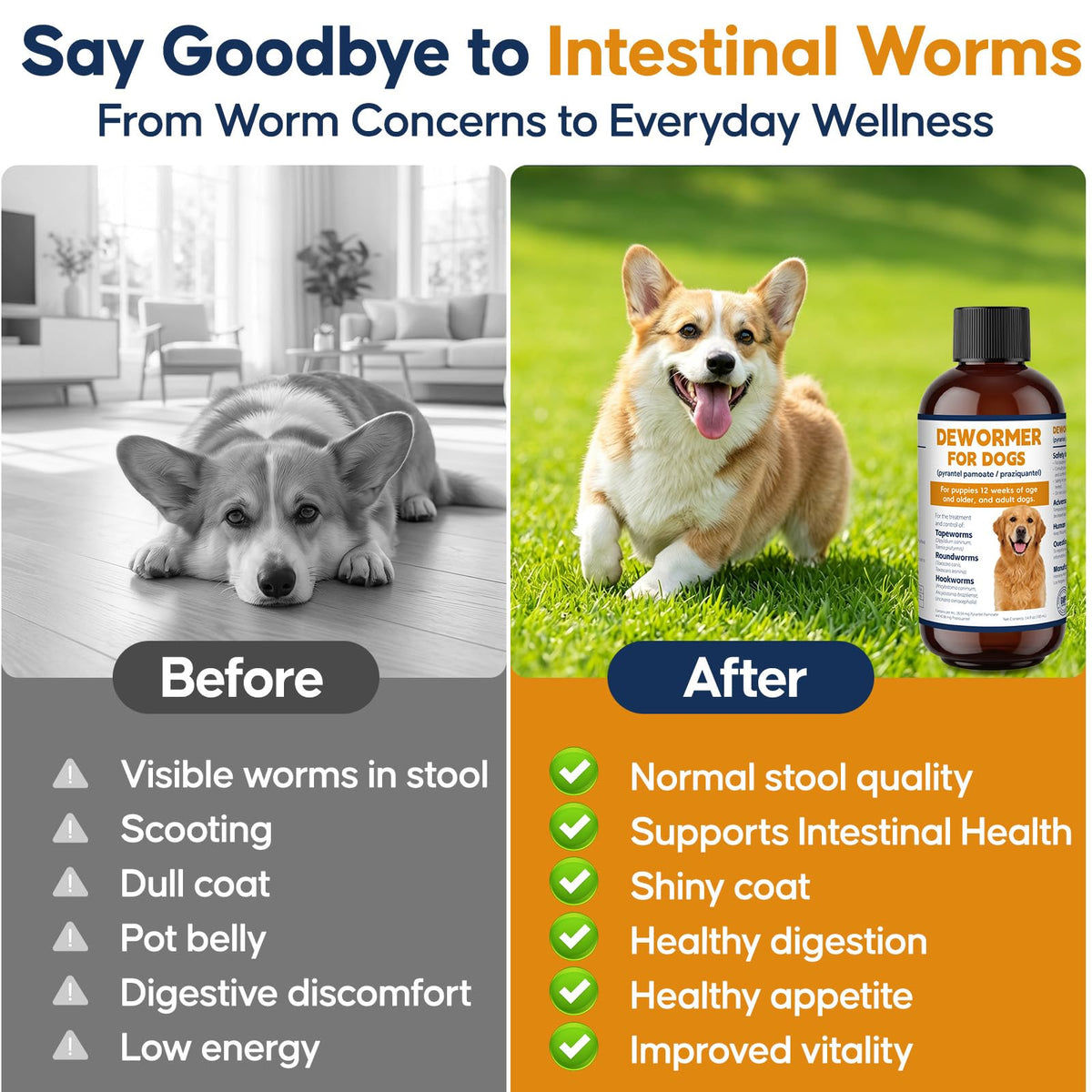 Dog and Puppy Oral Liquid Dewormer 100ml K272