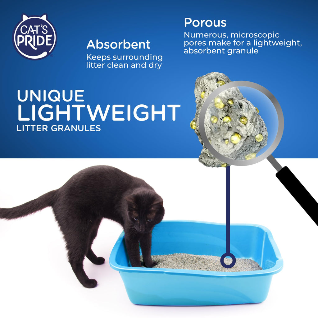 Lightweight Hypoallergenic Clumping Litter 10lb R78061