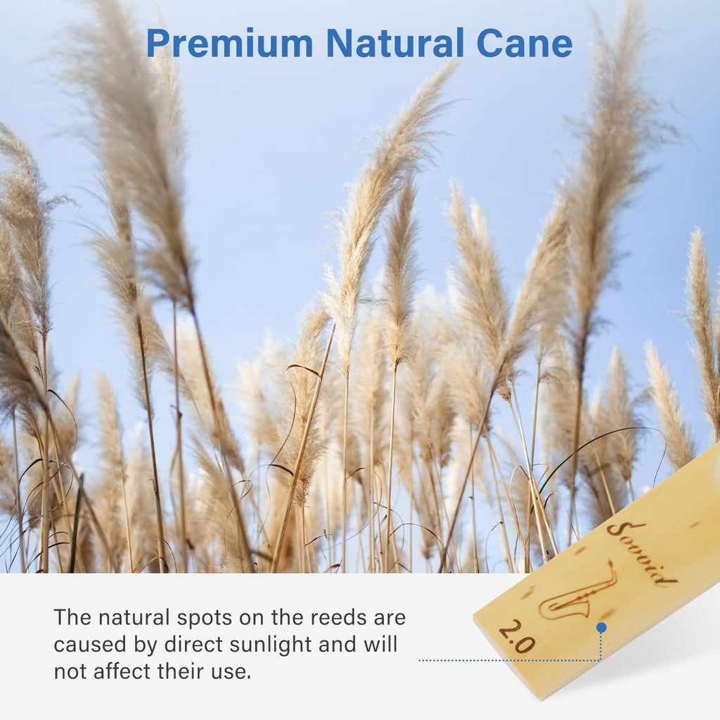Alto Saxophone Reeds 10 Pack Strength 2.0 T636