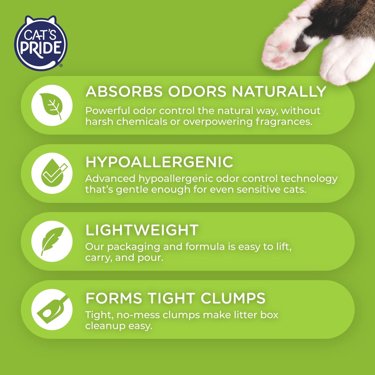 Lightweight Hypoallergenic Clumping Litter 10lb R78061