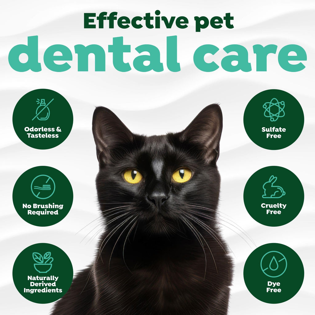 Fresh Breath Water Additive for Cats 16oz G7866