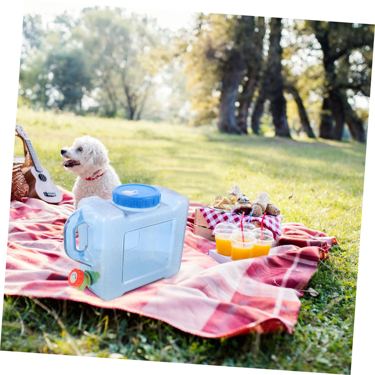 Portable 5L Blue Water Bucket R86184
