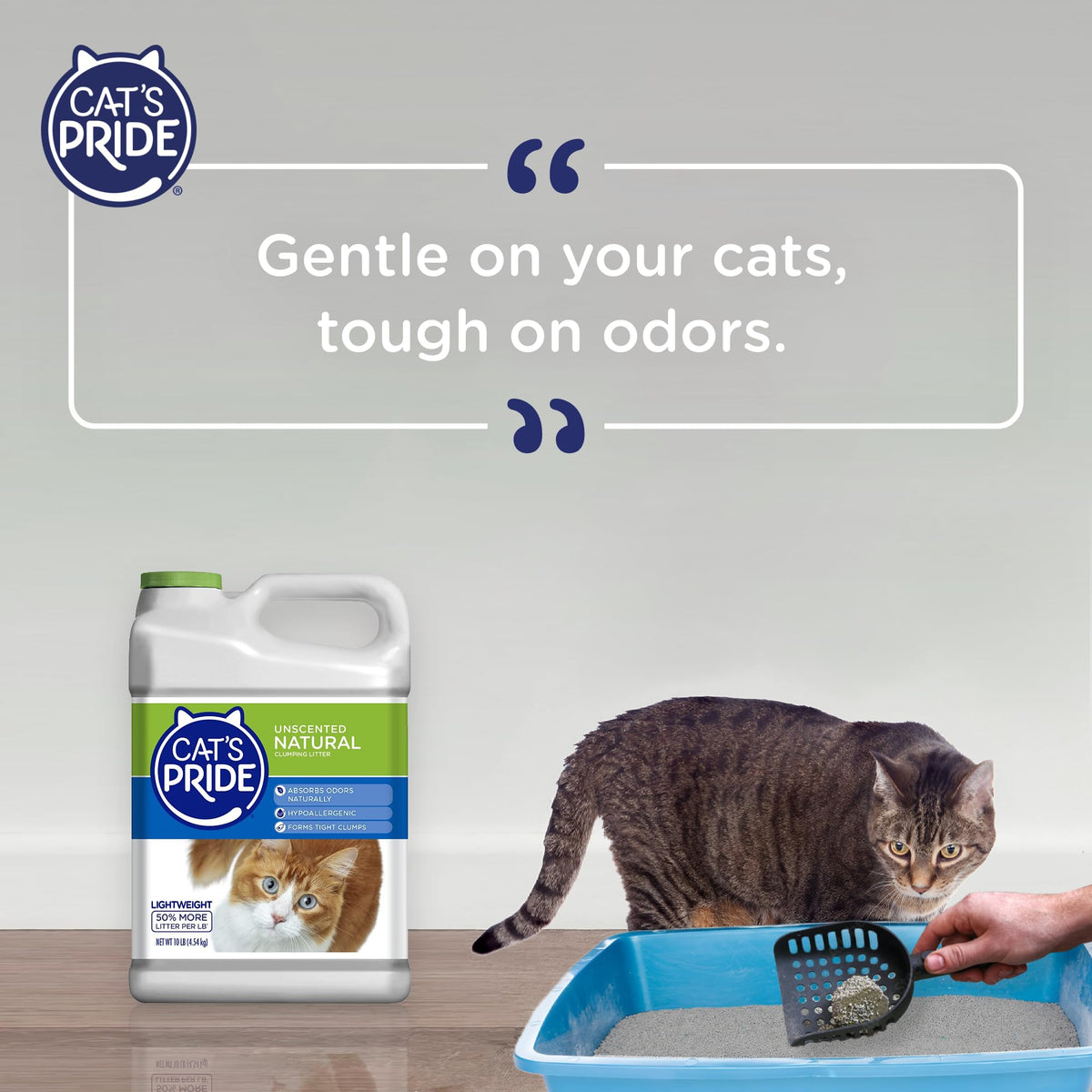Lightweight Hypoallergenic Clumping Litter 10lb R78061