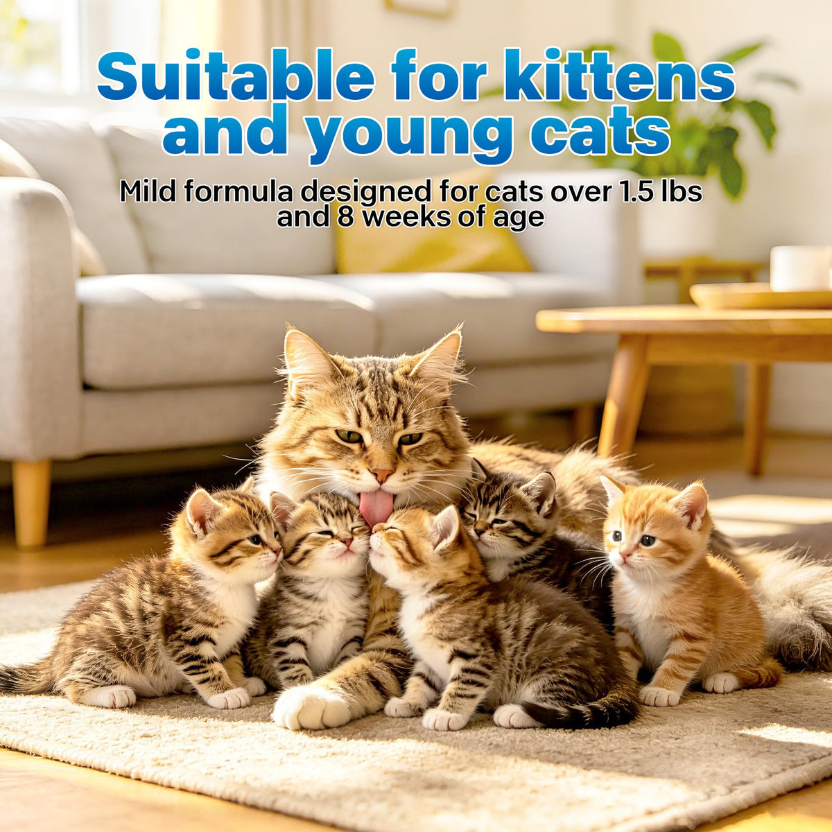 Topical Flea and Tick for Cats 6 Doses F41978