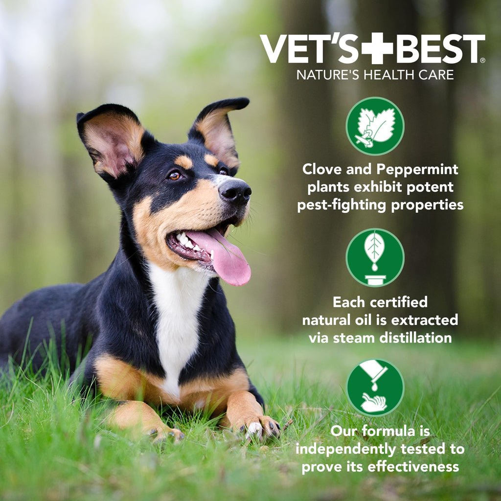 Flea & Tick Shampoo for Dogs 16 oz O3521