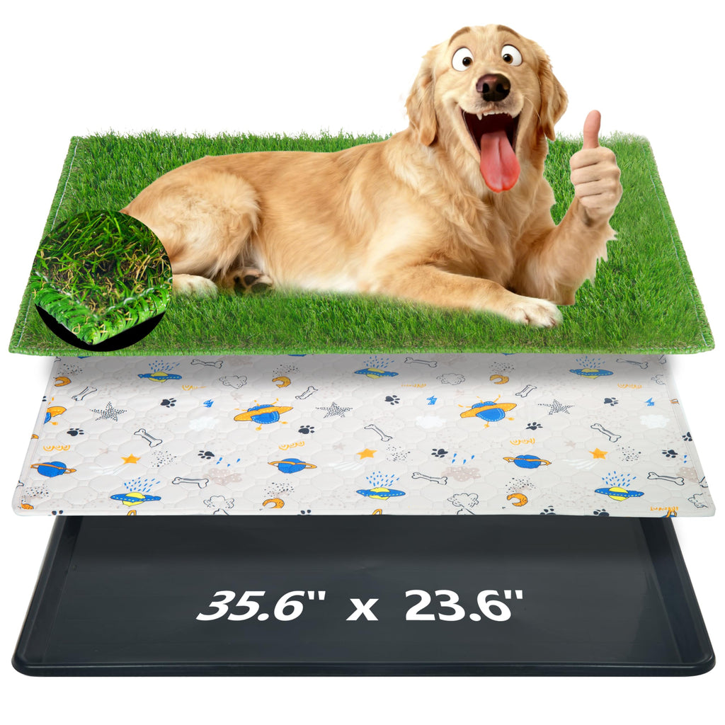 Reusable Dog Loo System with Artificial Grass Turf, Tray, 35x23in M26213