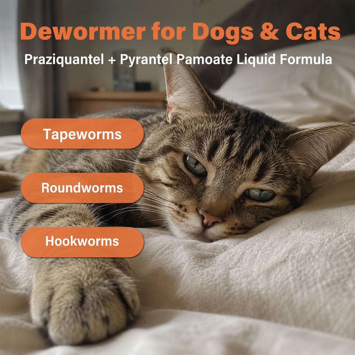 Dewormer for Dogs and Cats 3.38 fl oz A87953