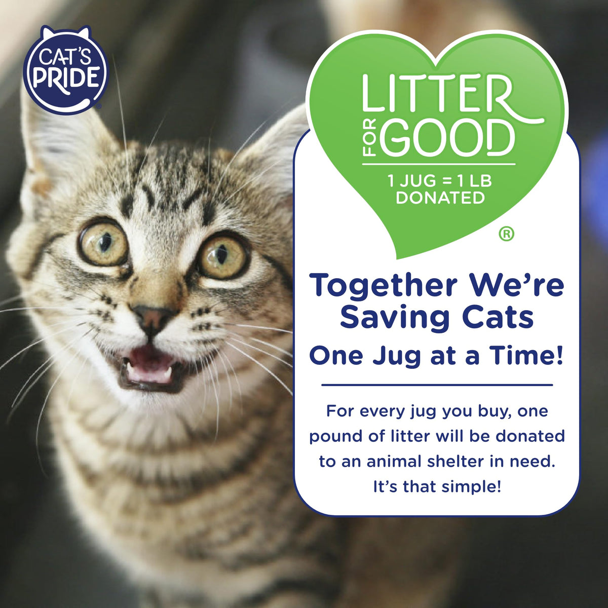 Lightweight Hypoallergenic Clumping Litter 10lb R78061