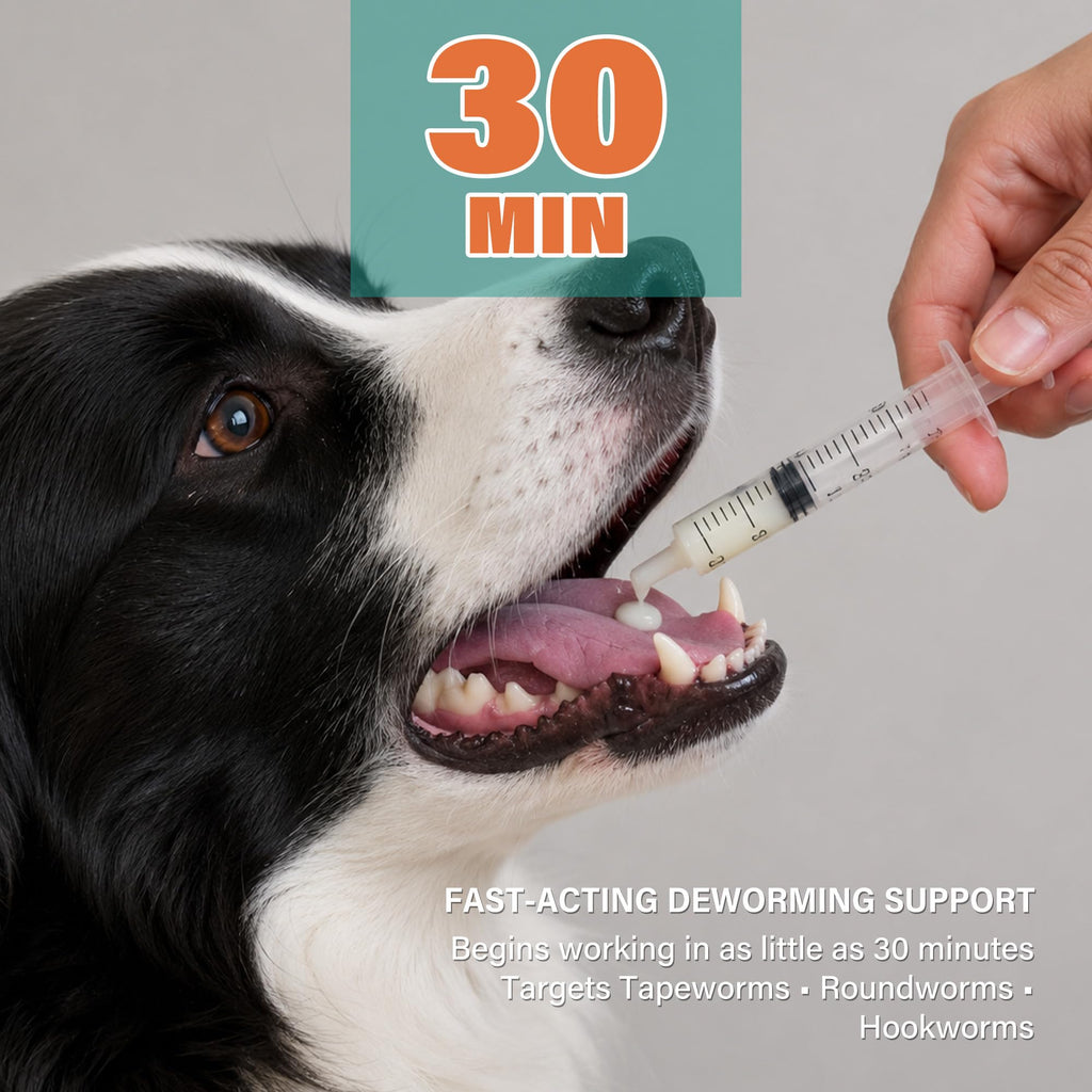 Dewormer for Dogs and Cats 3.38 fl oz A87953