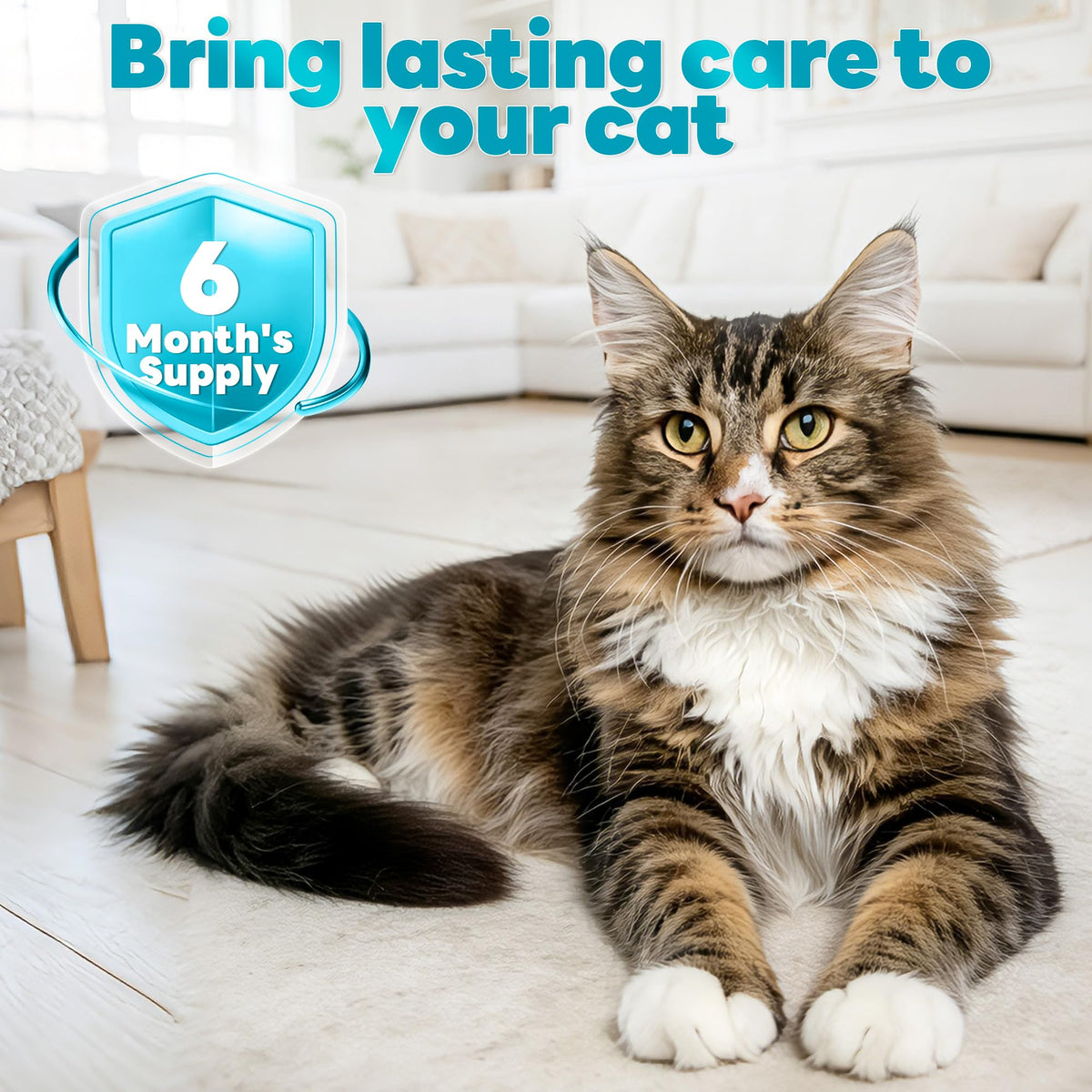 Topical Flea and Tick for Cats 6 Doses F41978