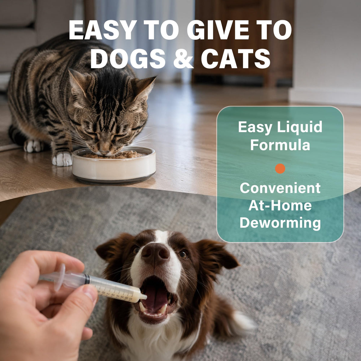 Dewormer for Dogs and Cats 3.38 fl oz A87953