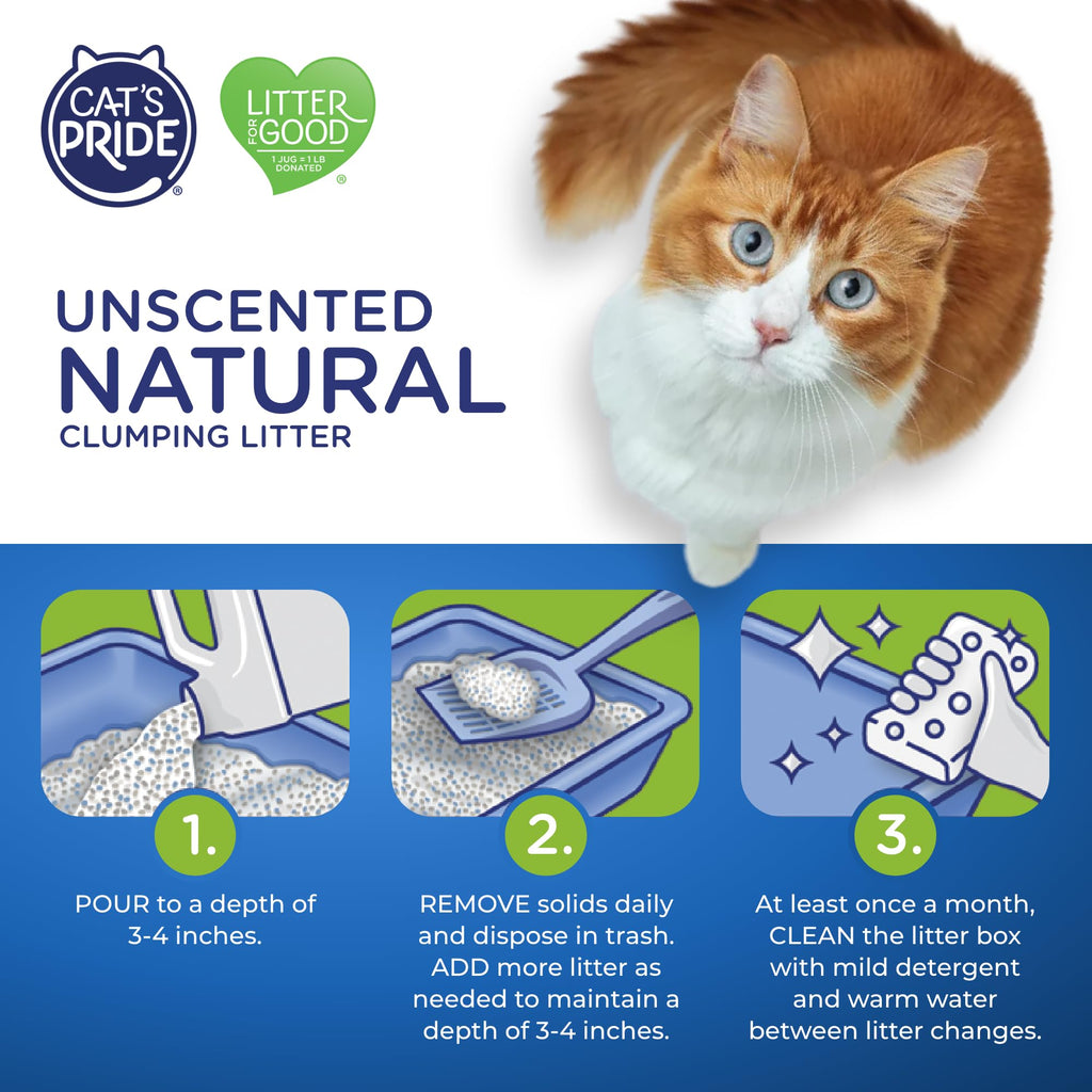 Lightweight Hypoallergenic Clumping Litter 10lb R78061