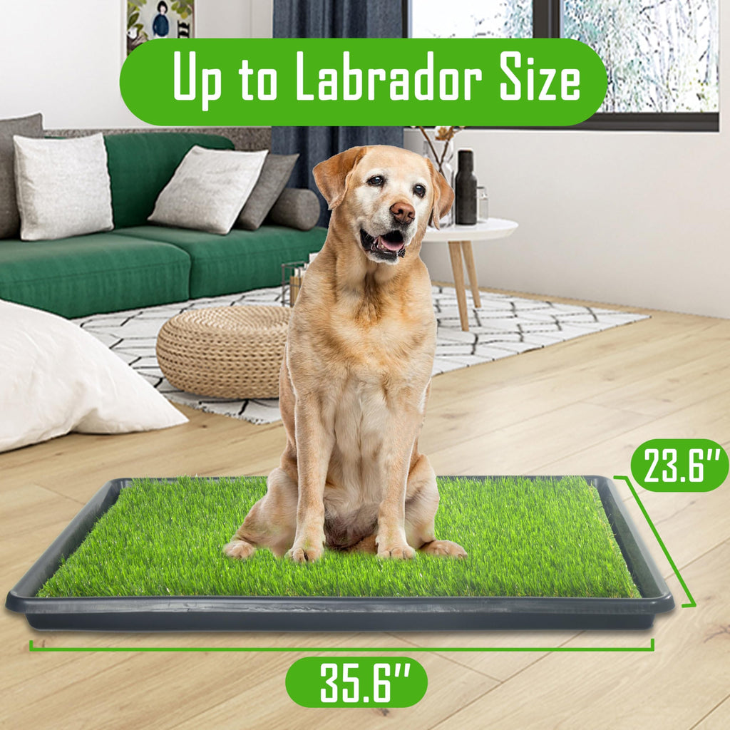 Reusable Dog Loo System with Artificial Grass Turf, Tray, 35x23in M26213