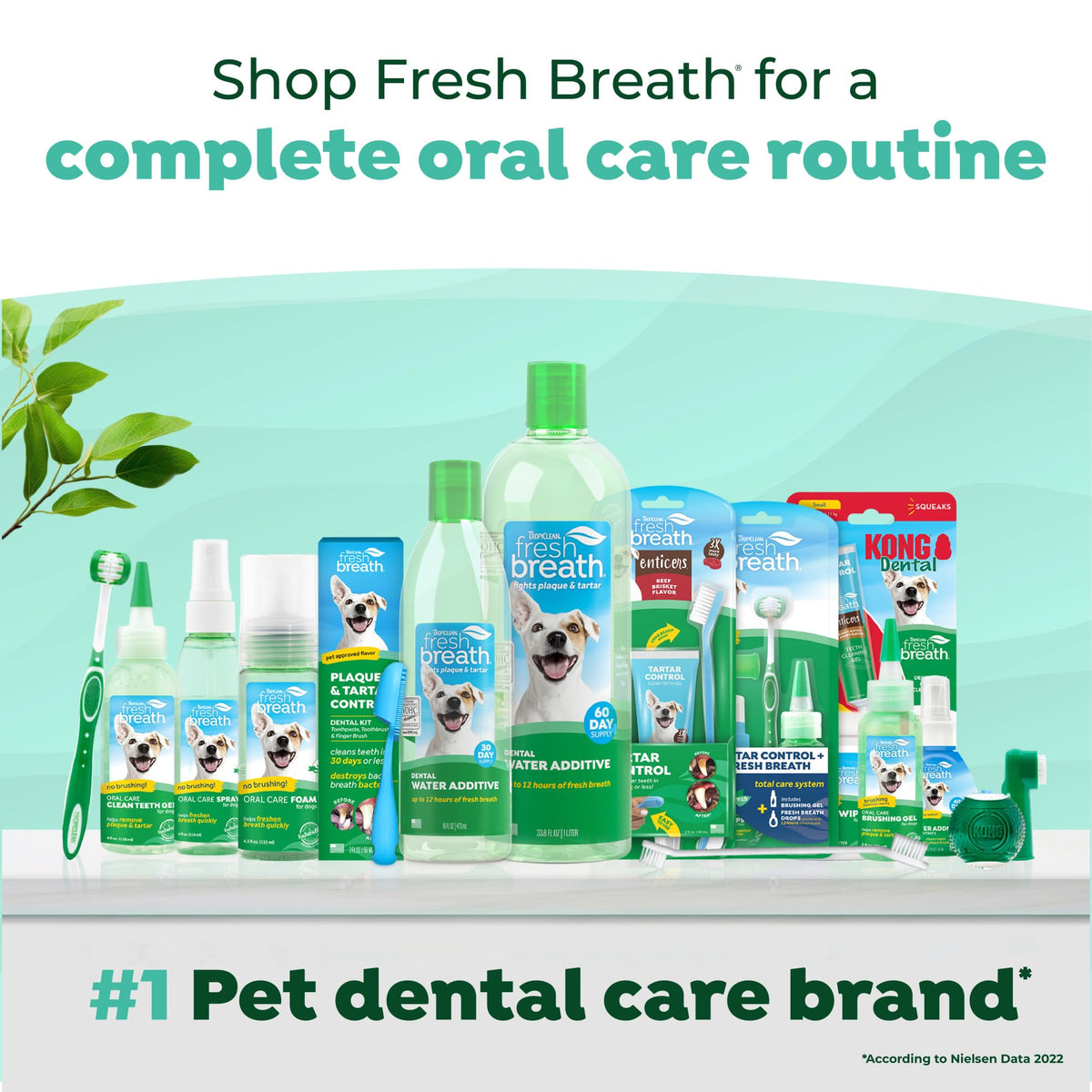 Fresh Breath Water Additive for Cats 16oz G7866