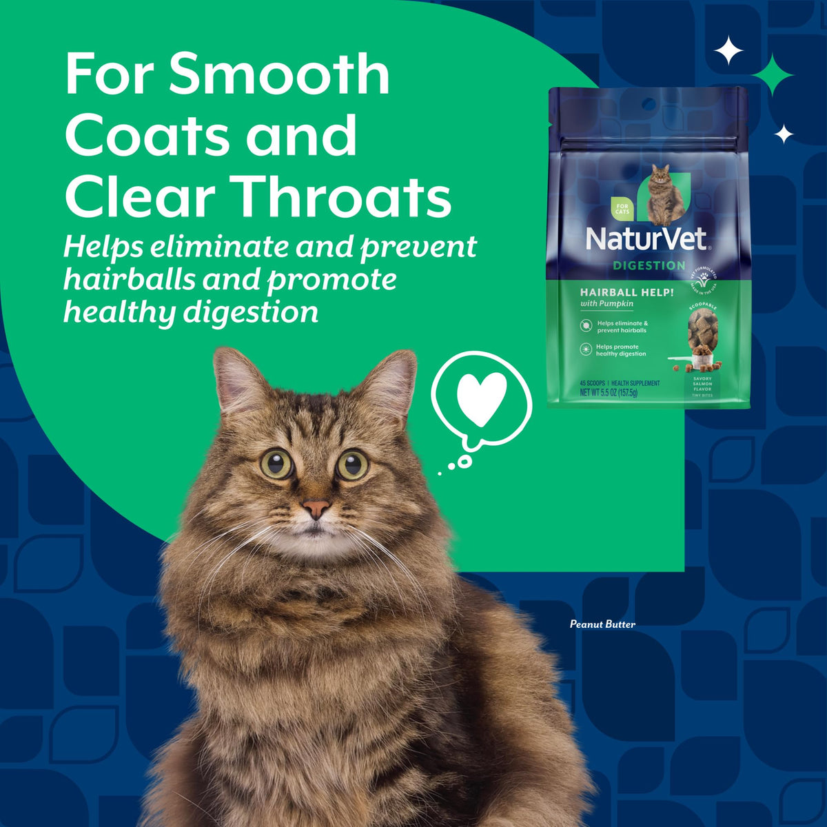 Hairball Aid Scoopable Supplement for Cats 5.5oz L54271