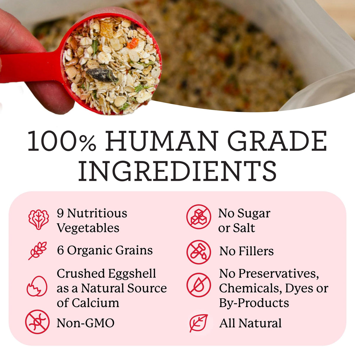 Dehydrated Dog Food Base Mix 10 lb S63142