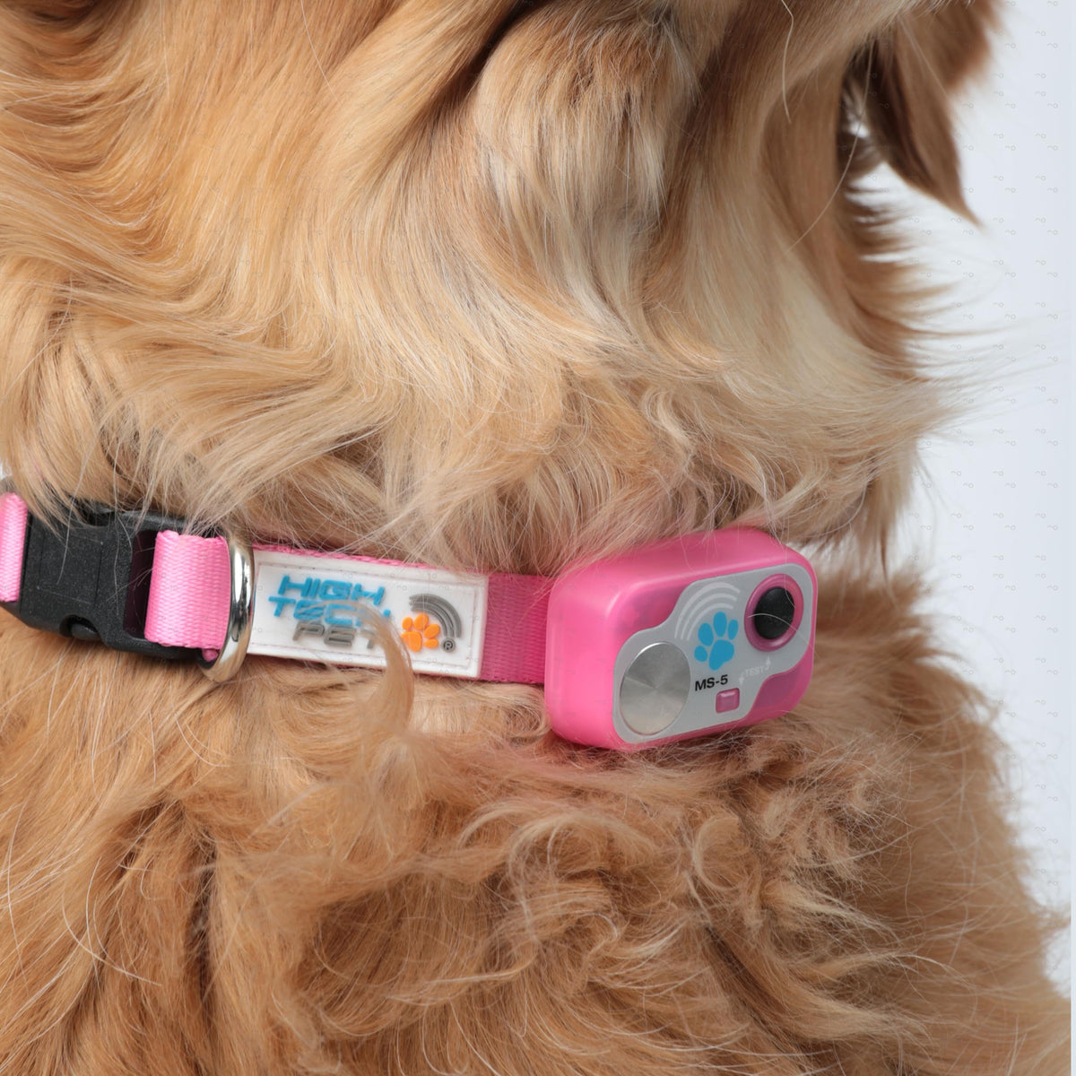 Automatic Pet Door C756