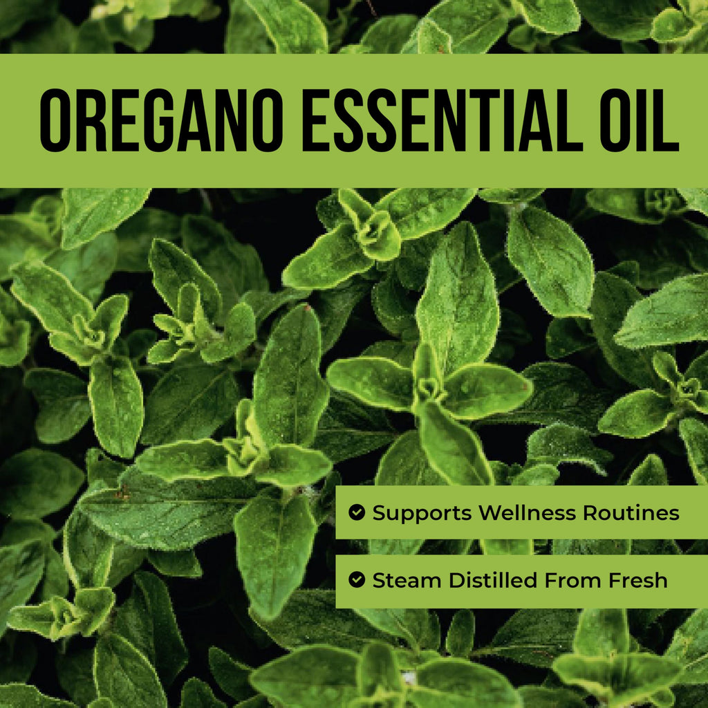 Steam Distilled Oregano Essential Oil 4 Fl Oz A30986