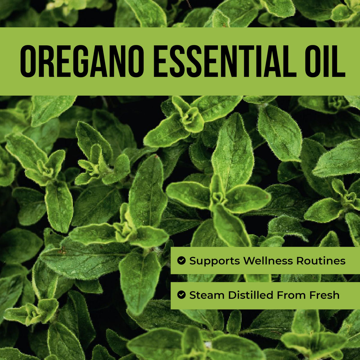Steam Distilled Oregano Essential Oil 4 Fl Oz A30986