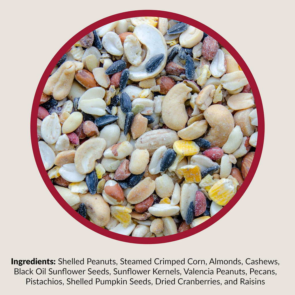 Fruit and Nut Wild Bird Seed Mix 20 lbs J948