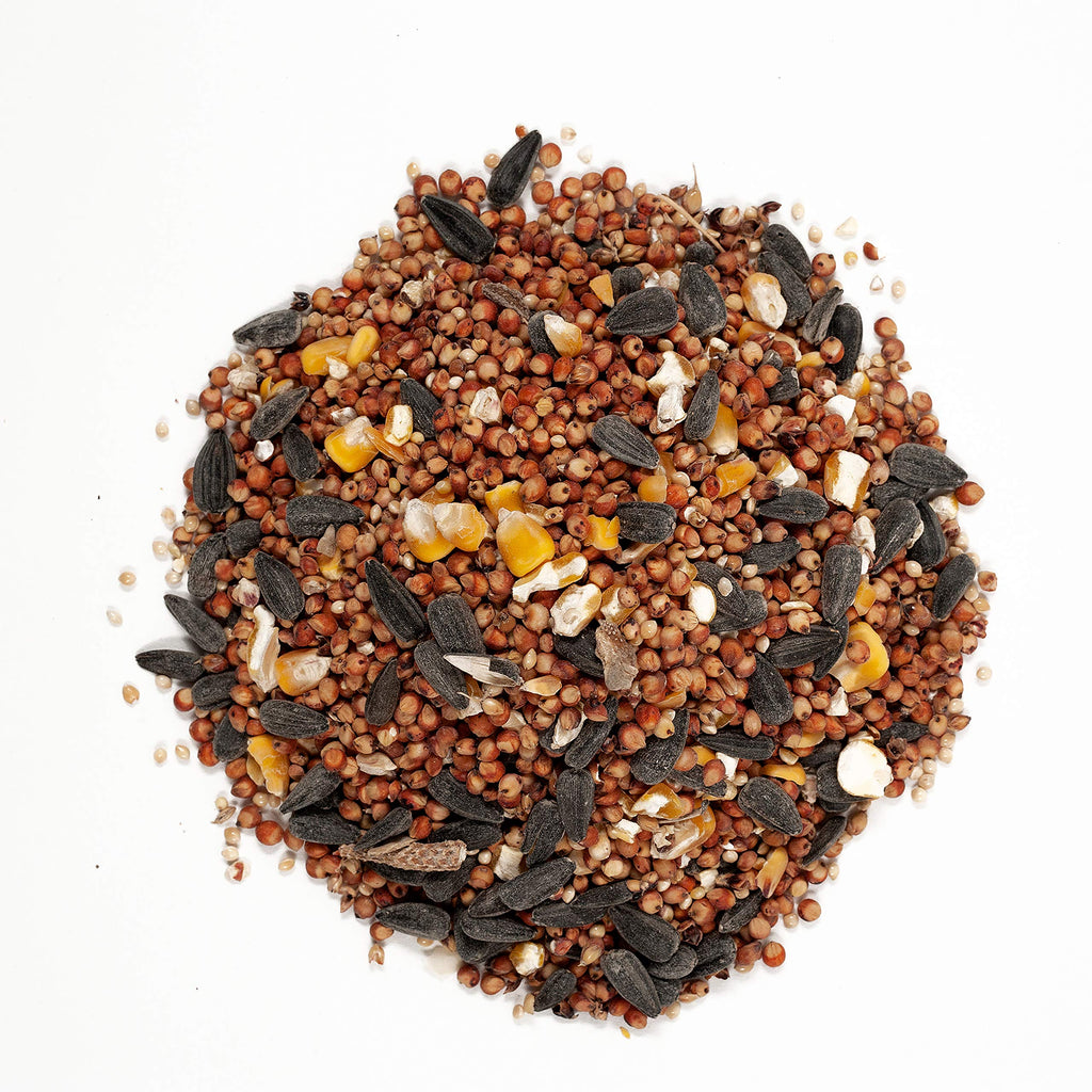 Bird Food Bundles 20 lbs Each P7806
